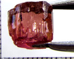 Tourmaline – Mozambique – 7.10 cts - Ref. TOB-660