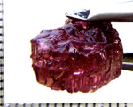 Tourmaline – Mozambique – 8.09 cts - Ref. TOB-661