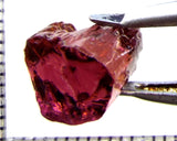 Tourmaline – Mozambique – 8.26 cts - Ref. TOB-662