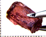 Tourmaline – Mozambique – 9.74 cts - Ref. TOB-663