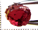 Tourmaline – Mozambique – 10.32 cts - Ref. TOB-666