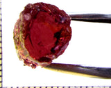 Tourmaline – Mozambique – 10.32 cts - Ref. TOB-666