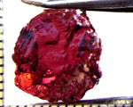 Tourmaline – Mozambique – 11.58 cts - Ref. TOB-668