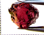 Tourmaline – Mozambique – 11.58 cts - Ref. TOB-668