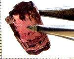 Tourmaline – Mozambique – 12.59 cts - Ref. TOB-670