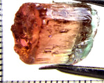 Tourmaline , tri-colour – Mozambique – 14.38 cts - Ref. TOB-672