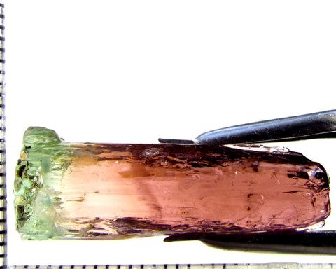 Tourmaline , tri-colour – Mozambique – 18.06 cts - Ref. TOB-674