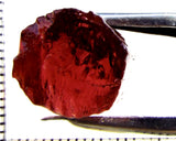 Tourmaline – Mozambique – 22.64 cts - Ref. TOB-676