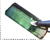 Tourmaline – Mozambique – 11.45 cts - Ref. TOB-698