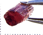 Tourmaline – Mozambique – 7.79 cts - Ref. TOB-701