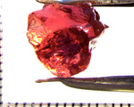 Tourmaline – Mozambique – 8.08 cts - Ref. TOB-704