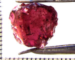 Tourmaline – Mozambique – 10.04 cts - Ref. TOB-706