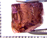 Tourmaline – Mozambique – 10.04 cts - Ref. TOB-706