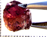 Tourmaline – Mozambique – 10.04 cts - Ref. TOB-706