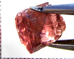 Tourmaline – Mozambique – 12.32 cts - Ref. TOB-711