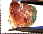 Tourmaline – Mozambique – 12.74 cts - Ref. TOB-712