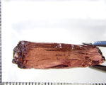 Tourmaline – Mozambique – 19.29 cts - Ref. TOB-718