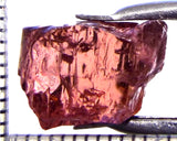 Tourmaline – Mozambique – 8.08 cts - Ref. TOB-761