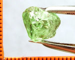 Garnet – Tanzania -'Mint' Green Grossular -  6.15 cts - Ref. GRB/35