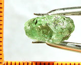 Garnet – Tanzania -'Mint' Green Grossular - 5.17 cts - Ref. GRB/37