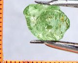 Garnet – Tanzania -'Mint' Green Grossular - 5.84 cts - Ref. GRB/38