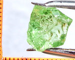 Garnet – Tanzania -'Mint' Green Grossular - 5.78 cts - Ref. GRB/39