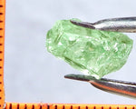 Garnet – Tanzania -'Mint' Green Grossular - 5.45 cts - Ref. GRB/40