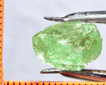 Garnet – Tanzania -'Mint' Green Grossular - 5.45 cts - Ref. GRB/40