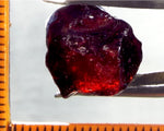 Garnet - Red - Tanzania - 16.56 cts - Ref. MG/42 -