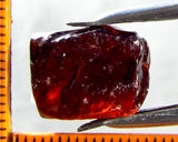 Garnet - Red - Tanzania - 16.56 cts - Ref. MG/42 -