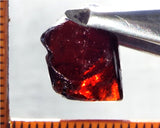 Garnet - Red - Tanzania - 16.51 cts - Ref. MG/45