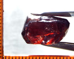 Garnet - Red - Tanzania - 16.51 cts - Ref. MG/45