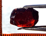 Garnet - Red - Tanzania - 16.51 cts - Ref. MG/45