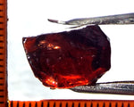 Garnet - Red - Tanzania - 16.51 cts - Ref. MG/45