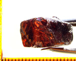 Garnet - Red - Tanzania - 20.96 cts - Ref. MG/67