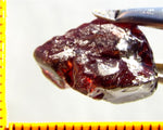 Garnet - Red - Tanzania - 20.96 cts - Ref. MG/67