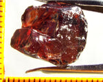 Garnet - Red - Tanzania - 20.96 cts - Ref. MG/67