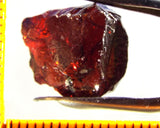 Garnet - Red - Tanzania - 20.96 cts - Ref. MG/67