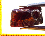 Garnet - Red - Tanzania - 20.96 cts - Ref. MG/67