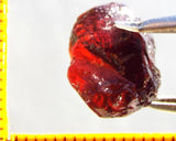 Garnet - Red - Tanzania - 20.68 cts - Ref. MG/69