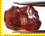 Garnet - Red - Tanzania - 20.68 cts - Ref. MG/69