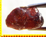 Garnet - Red - Tanzania - 20.68 cts - Ref. MG/69