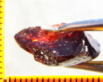 Garnet - Red - Tanzania - 18.94 cts - Ref. MG/70