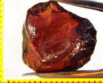 Garnet - Red - Tanzania - 18.94 cts - Ref. MG/70