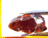 Garnet - Red - Tanzania - 18.06 cts - Ref. MG/71