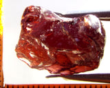 Garnet - Red - Tanzania - 23.57 cts - Ref. MG/73