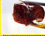Garnet - Red - Tanzania - 23.33 cts - Ref. MG/75