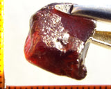 Garnet - Red - Tanzania - 17.22 cts - Ref. MG/77