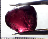 Garnet - Rhodolite- Tanzania 19.45 cts - Ref. RG/100