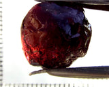 Garnet - Rhodolite - Tanzania 21.27 cts - Ref. RG/115